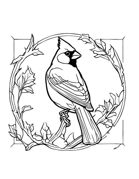 Cardinal Coloring Pages (Free Printable PDF)