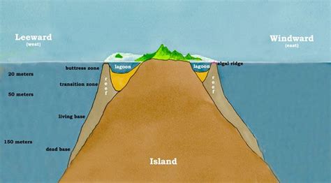 Leeward (W) Windward (E) | Science, Marine