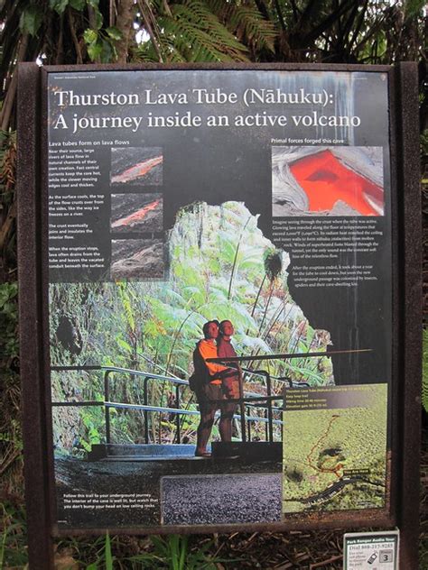 Best Hikes In Hawaii: The Thurston Lava Tube Trail – On Walkabout