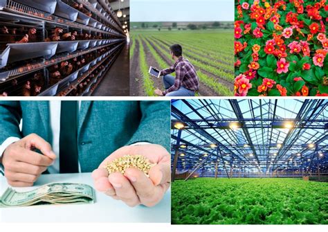 What is Agribusiness? - Agribusiness Education and Research International