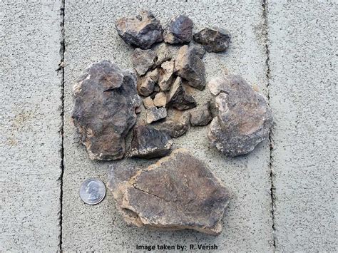 Several Meteorites Found in the SW Deserts of the USA. | Meteorite ...