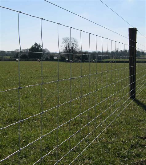 Sheep wire with electric wire - FRS Fencing