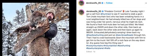 Former Bronco Derek Wolfe hunts and kills a mountain lion in Colorado