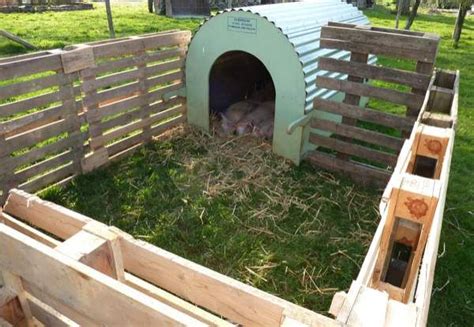 Pallet Pig Pen | Ideas for the homestead | Pinterest | An, Picket fences and Dog houses