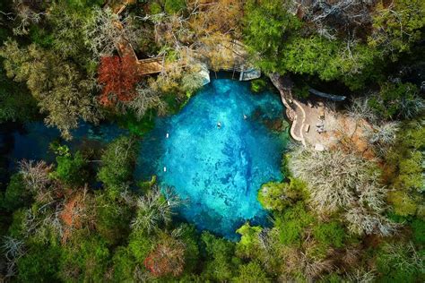 Tips for Ichetucknee Springs State Park: A Natural Lazy River in Florida - Florida Trippers