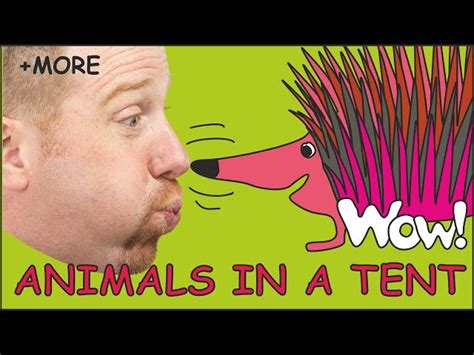 Steve and Maggie: Animals in a tent. - English ESL video lesson