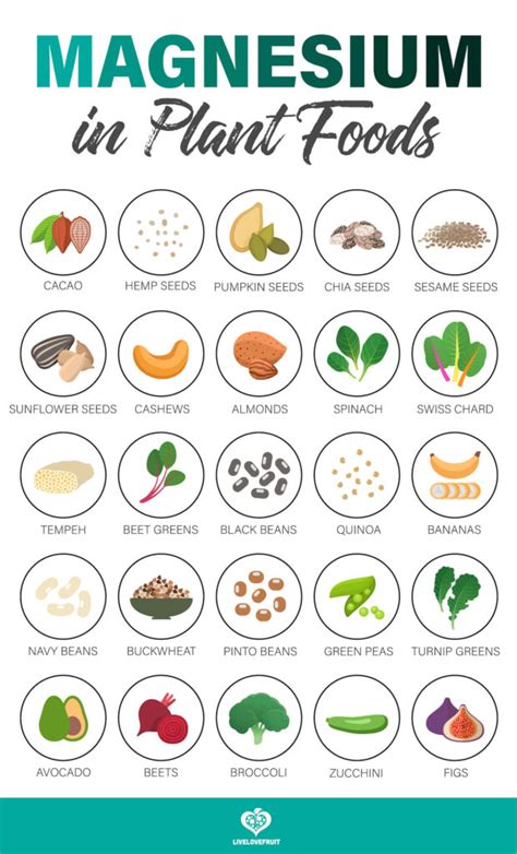 Printable Magnesium Rich Foods Chart