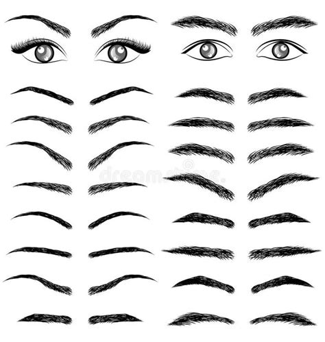 Different Eyebrow styles | Dibujos de ojos, Ojos de hombre, Tipo de ceja