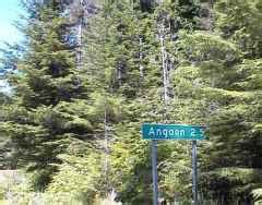 Tour of Angoon