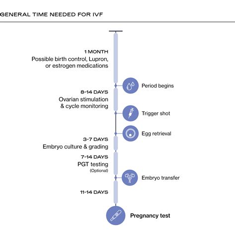 Ivf Process Step Step Calendar - Farah Chrystal