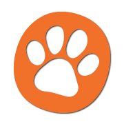 The Pawfessionals Dog Walkers & Pet Sitters - NYC | New York NY