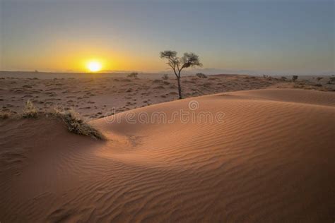 Sunset at red sand dune stock image. Image of dunes - 149733125