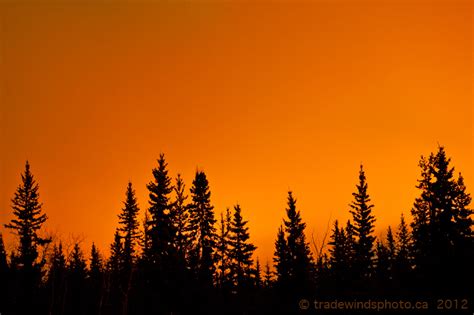 Claus Vogel Photography: An orange sky at night, a Yukoner's delight