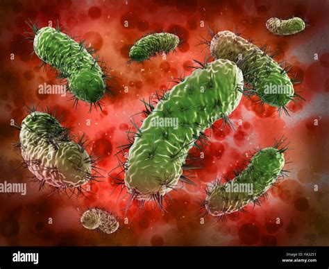 Bacteria under microscope hi-res stock photography and images - Alamy