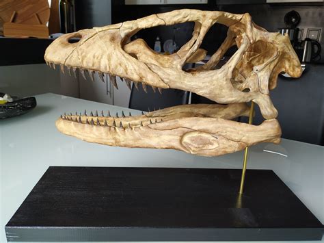 Deinonychus Skull 3D model 3D printable | CGTrader