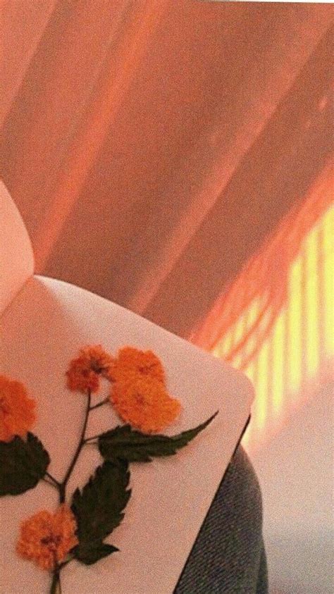 #astheticwallpaperiphoneminimal | Orange aesthetic, Peach aesthetic, Aesthetic colors