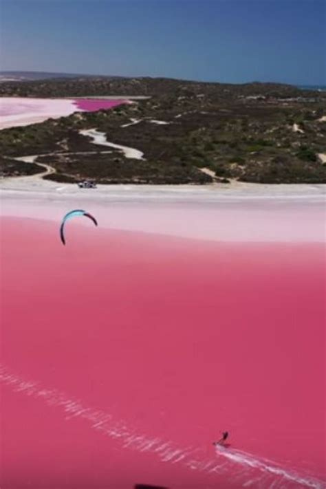 two people parasailing in pink water on a sunny day