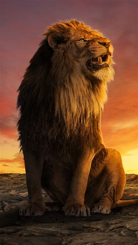 The King, Lion, animal, digital art, fierce, lion lockscreen, lion, manipulation, HD phone ...