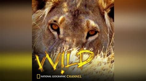 National Geographic Channel: Wild on Apple TV