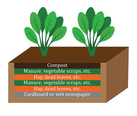 Soil Options for Raised Bed Gardening | Planter | Growing Guide
