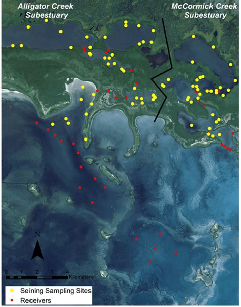 Map of study area showing two subestuaries, Alligator Creek and... | Download Scientific Diagram