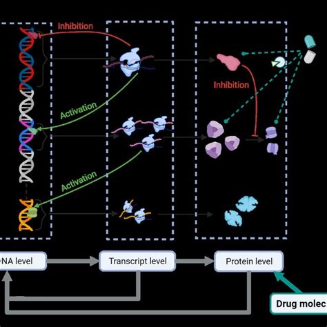 Schematic diagrams in dynamic modeling. a. Gene regulatory network ...