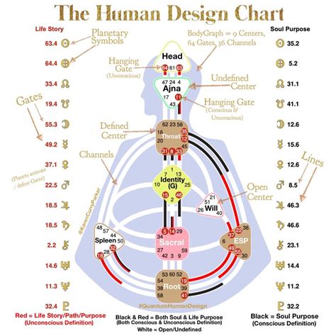 The Human Design Chart | Human design, Human design system, Human