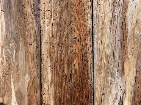 Free Images : tree, branch, texture, floor, trunk, wall, soil, lumber, background, hardwood, old ...