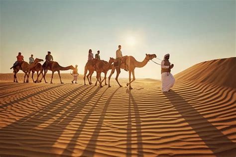 Desert Safari Dubai -An Adventurous Tour With Pure Entertainment - Reno Vicco