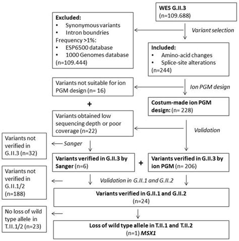 Flowchart of sequencing pipeline WES whole exome sequencing, Ion PGM... | Download Scientific ...