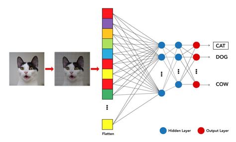 Deep Learning is Revolutionizing Image Recognition | by Orbofi AI | Medium