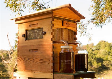 Easy Flow™ Hive honey harvesting — Info You Should Know