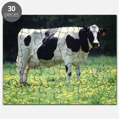 Cow Puzzles, Cow Jigsaw Puzzle Templates, Puzzles Online - CafePress