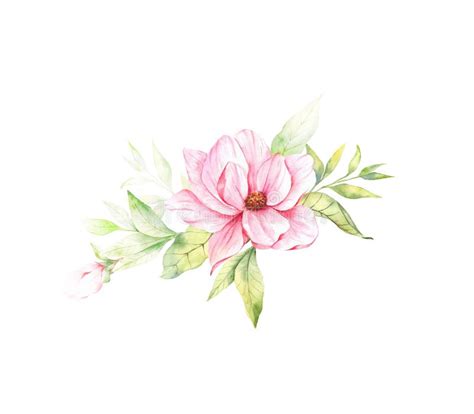 Magnolia Flower Watercolor Illustration, Magnolia Bouquet, Pink ...