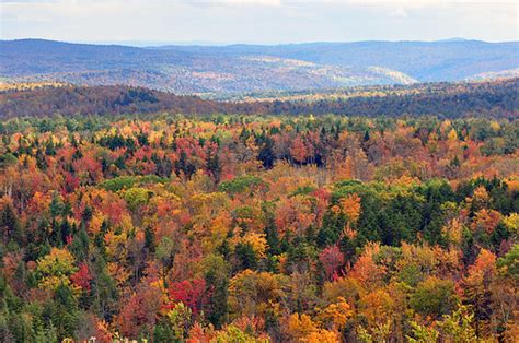 Vermont fall foliage | Mr Bruno | Flickr