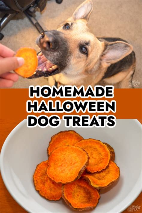 Homemade Halloween Dog Treats Recipe - Thrifty Jinxy