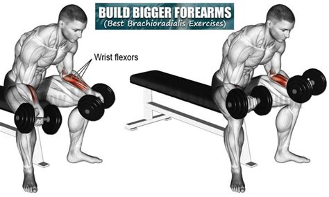 Dumbbell wrist flexion | Exercise, Dumbell workout, Arm workout