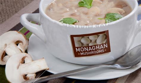 Monaghan Mushrooms - Vard Brand Design