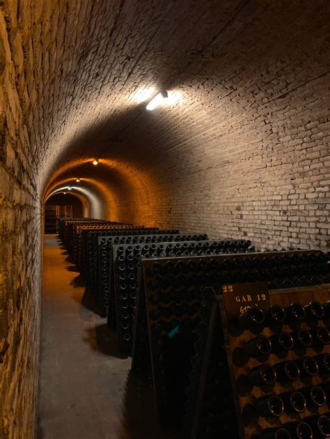 Top 5 des Visites de caves en Champagne en 2023