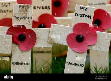 remembrance day crosses Stock Photo - Alamy