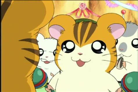 Blue Everyday: DOWNLOAD HAMTARO EPISODES