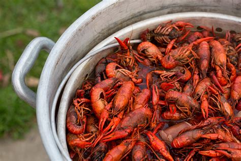 Crawfish Boil Basics | How to Boil Crawfish | Acadia Crawfish