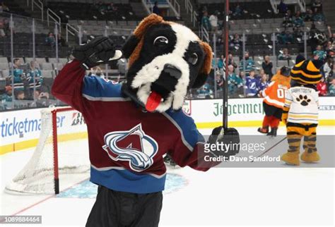 523 Colorado Avalanche Mascot Stock Photos, High-Res Pictures, and ...