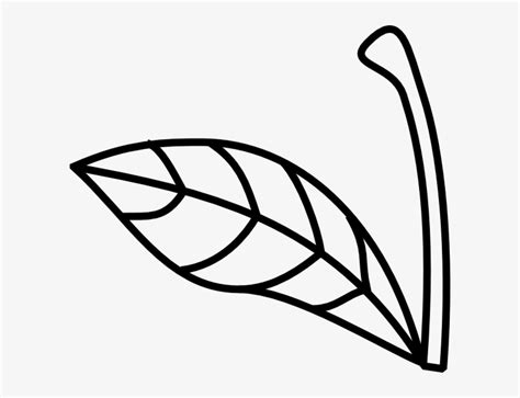 Apple Stem Leaf Clip Art - Apple Stem And Leaf Transparent PNG ...