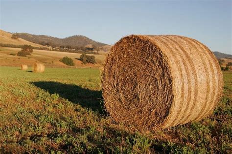 Round bales for sale | in Blairgowrie, Perth and Kinross | Gumtree