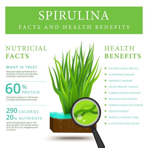 Top 10 Health Benefits of Spirulina – Magic Algae? | Daily Eat Vegetables