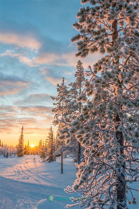 Breath-taking Saariselka | Fond decran hiver, Paysage polaire, Paysage laponie