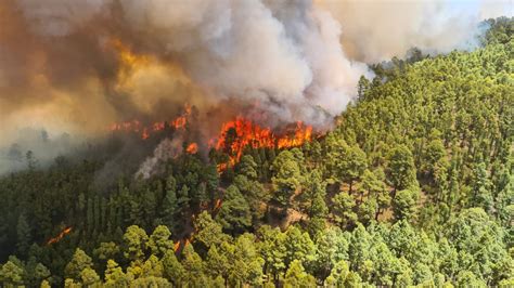 Tenerife Forest Fires