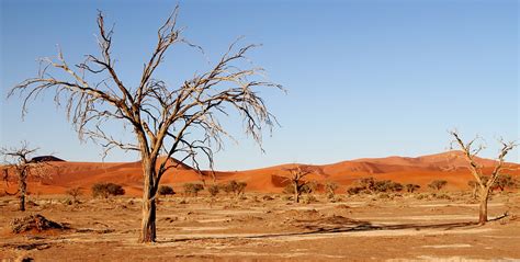 Desert Namibia Dunes · Free photo on Pixabay