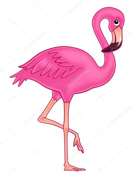 Flamingo: fotografía de stock © mikailain #6503609 | Depositphotos